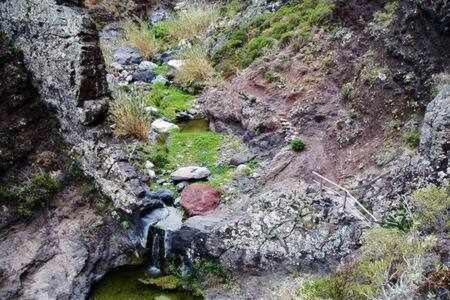 Casas Galloway Anaga Misteriosa Y Magica El Bailadero Eksteriør bilde